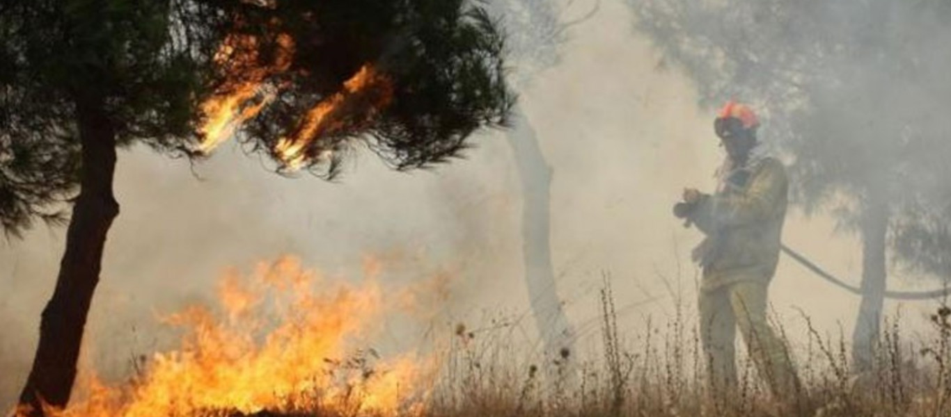 Ηλεία: Μεγάλη πυρκαγιά ξέσπασε στα Διάσελλα